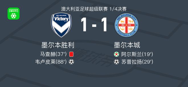的阵容